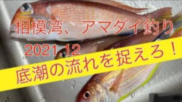 【2021年12月】相模湾アマダイ釣り！潮流を捉えて本命も捕らえよ！