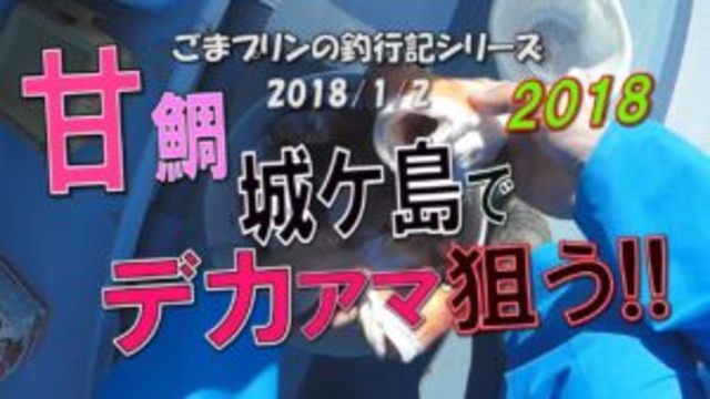 【相模湾アマダイ】城ケ島でデカアマ狙う!!(2018/01/02)