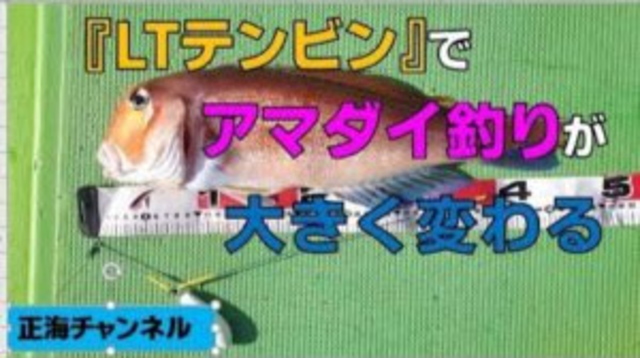 『LTテンビン』でアマダイ釣りは３倍楽しい【一度使ったら手放せない】