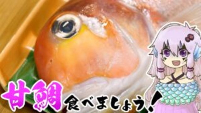 結月ゆかりのお腹が空いたのでVol.40「甘鯛食べましょう」