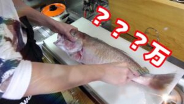 1ｇあたり⇒140万円？14円？0.4円？の国宝級の魚が入りました。きまぐれ史上最高峰の味。是非見て。