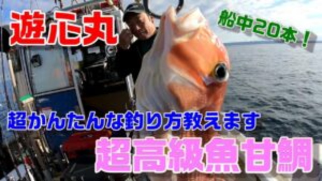 超高級魚甘鯛のかんたんな釣り方教えます