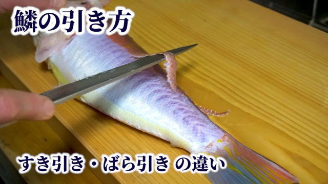 アマダイ海王｜アマダイのポータルサイト｜甘鯛を食べる