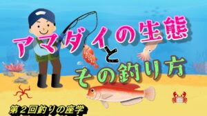 【釣りの座学】アマダイの生態と釣り方を検証する動画　【第２回】