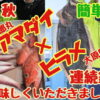 2021秋 アマダイ&ヒラメ連続釣行 美味しく調理して食べ尽くしました 平塚庄三郎丸/大原臼井丸